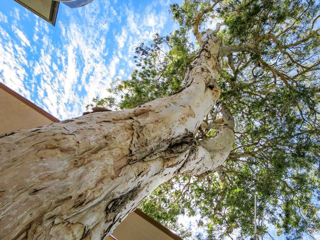 Marlin Waters Beachfront Apartments Palm Cove Exterior photo