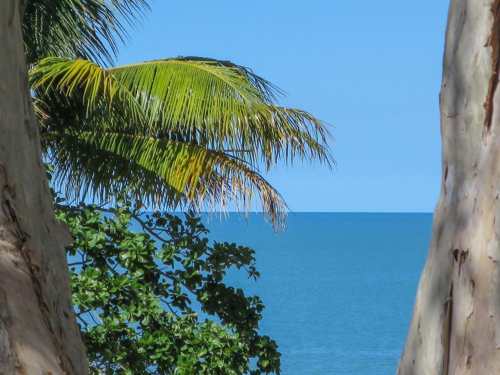 Marlin Waters Beachfront Apartments Palm Cove Exterior photo